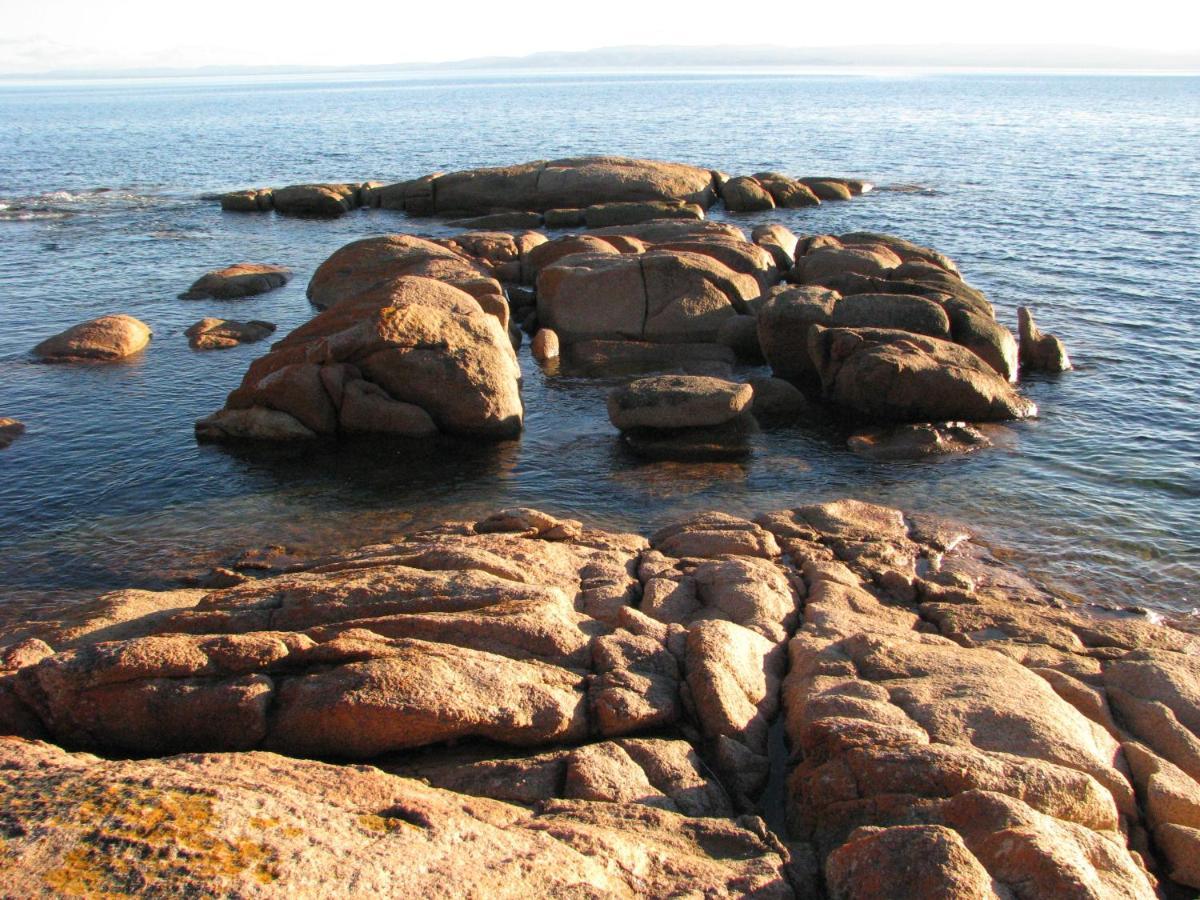 Villa Pebble Shack Coles Bay Exterior foto